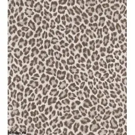 Обои 473629 Rasch Африканская Королева