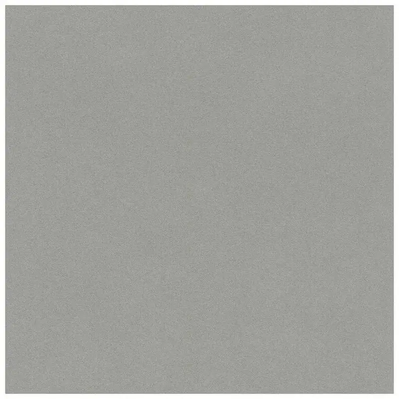 Обои 527025 Rasch Crispy Paper