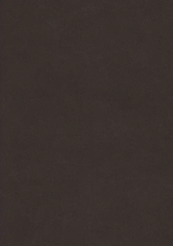 Обои 527049 Rasch Crispy Paper