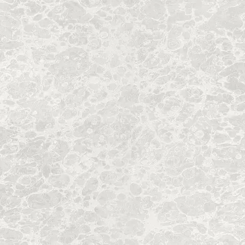 Обои 5563 Trussardi 2