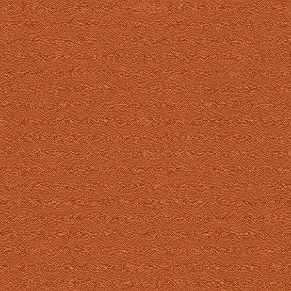 Обои 576009 Rasch Cosmopolitan