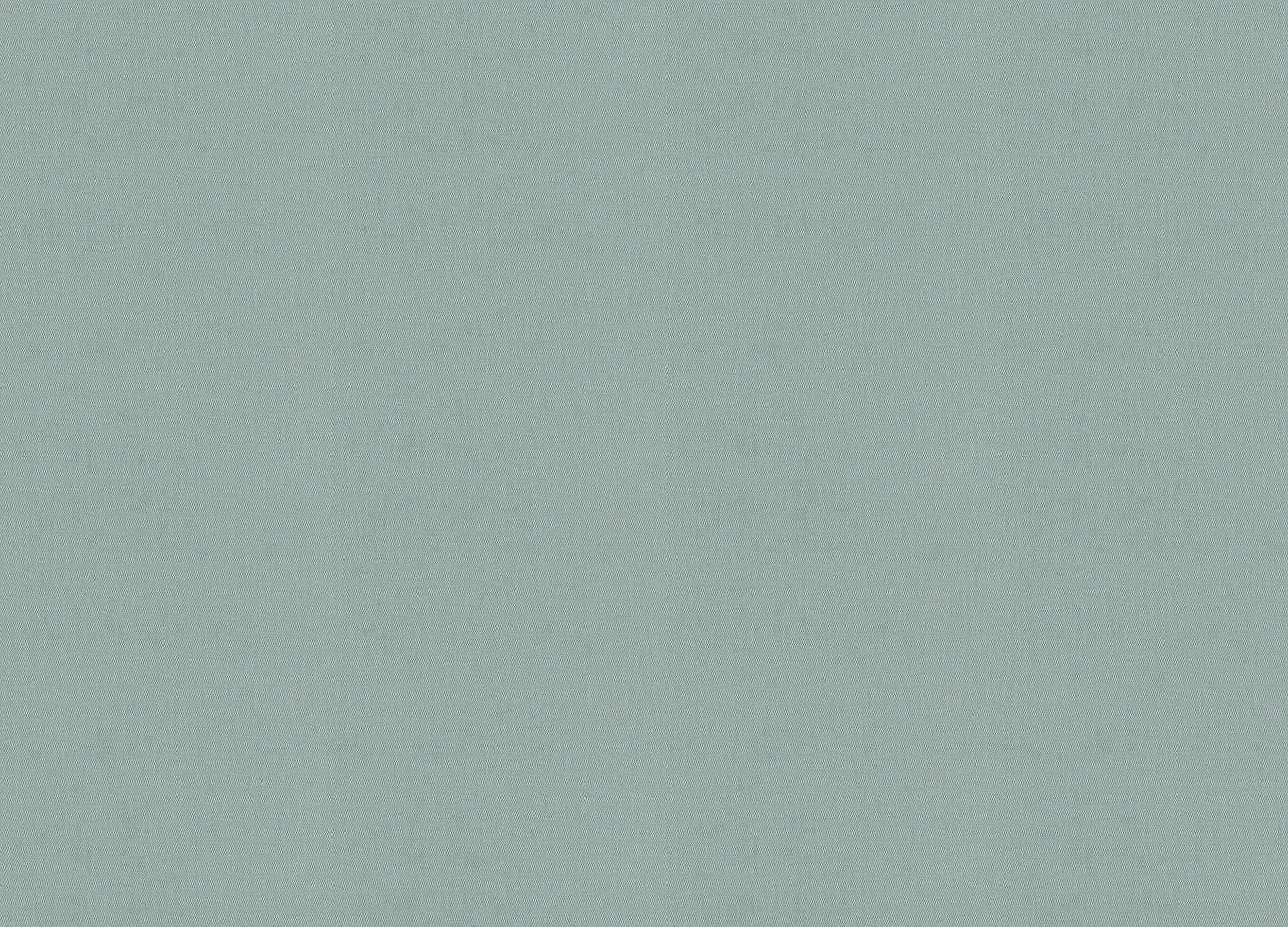 Обои 633665 Rasch Beltesto