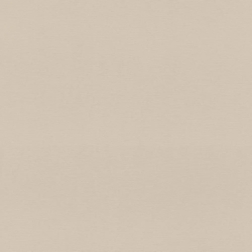 Обои 692716 Rasch Allegretto