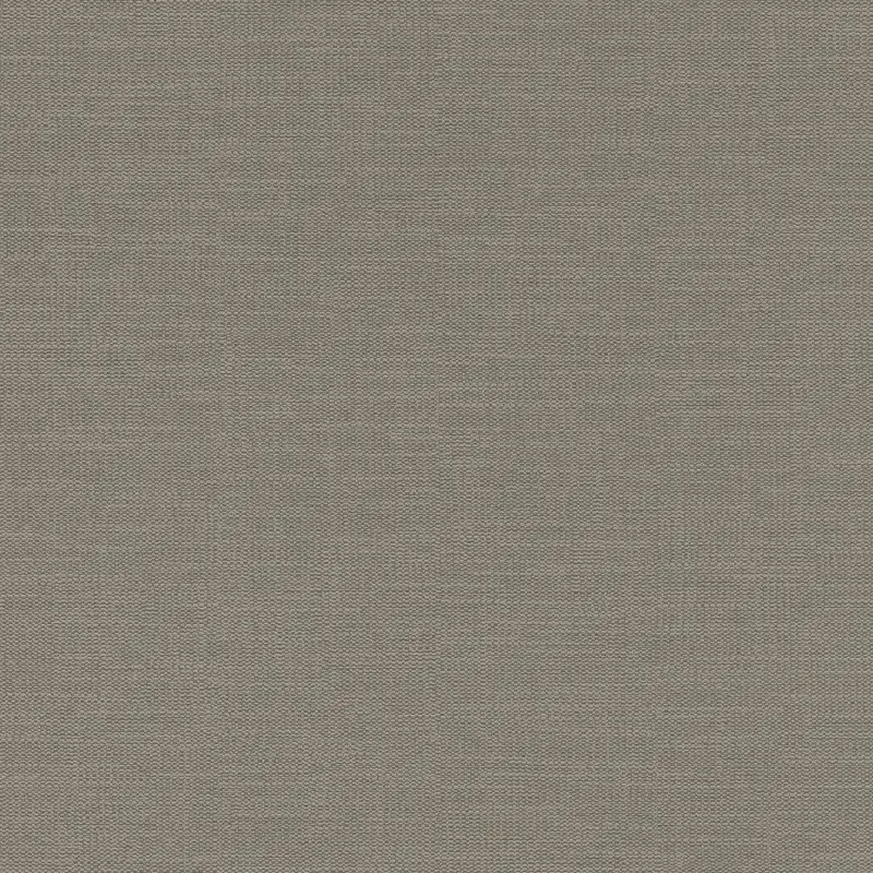 Обои 700480 Rasch Kalahari