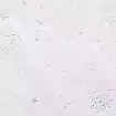 Обои 78697-2 AS Creation Mia+Paul — фото 4