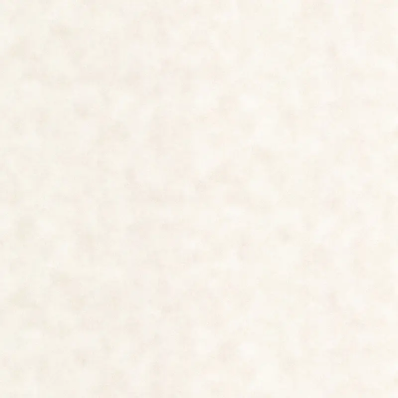 Обои 908916 Rasch Style R