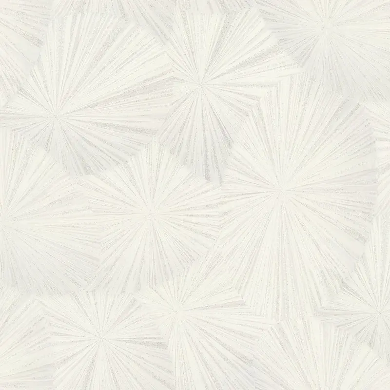 Обои 9162-00 Euro Decor Ray
