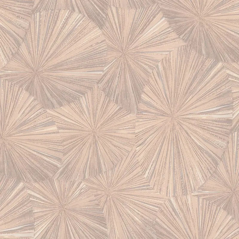 Обои 9162-02 Euro Decor Ray