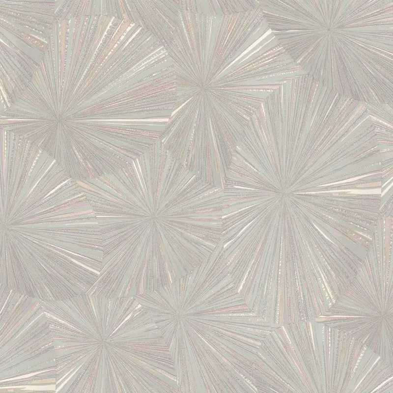 Обои 9162-04 Euro Decor Ray