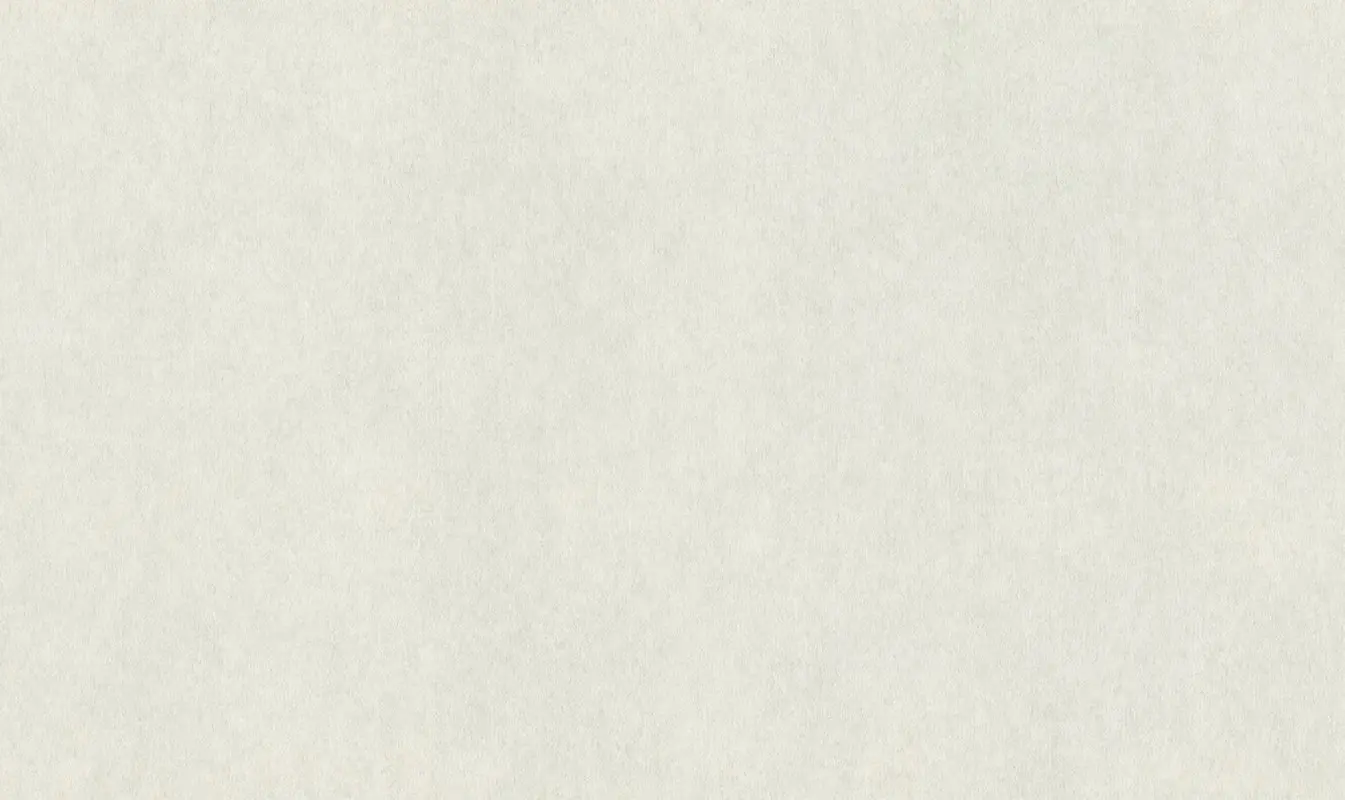 Обои 957303 Rasch Raymond / Wall Textures XL