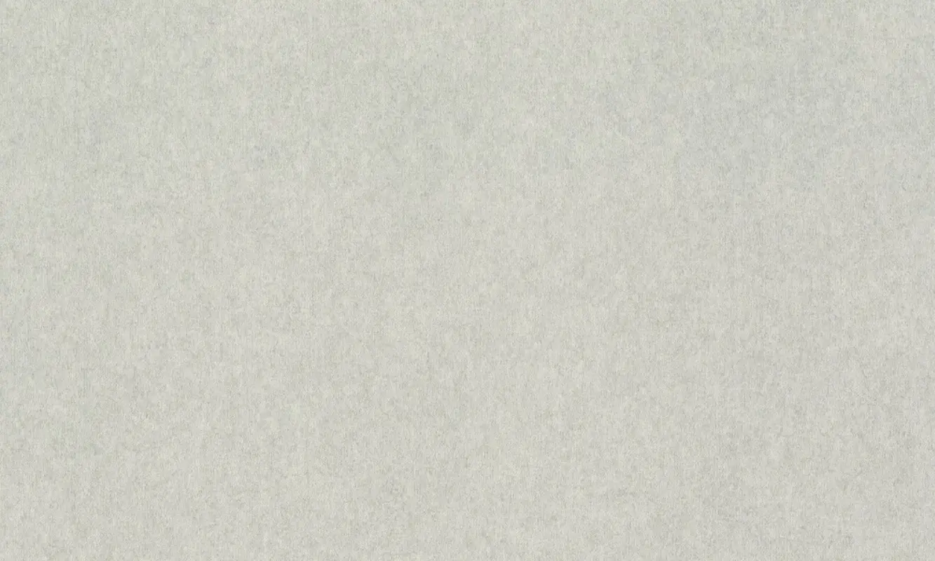 Обои 957310 Rasch Raymond / Wall Textures XL