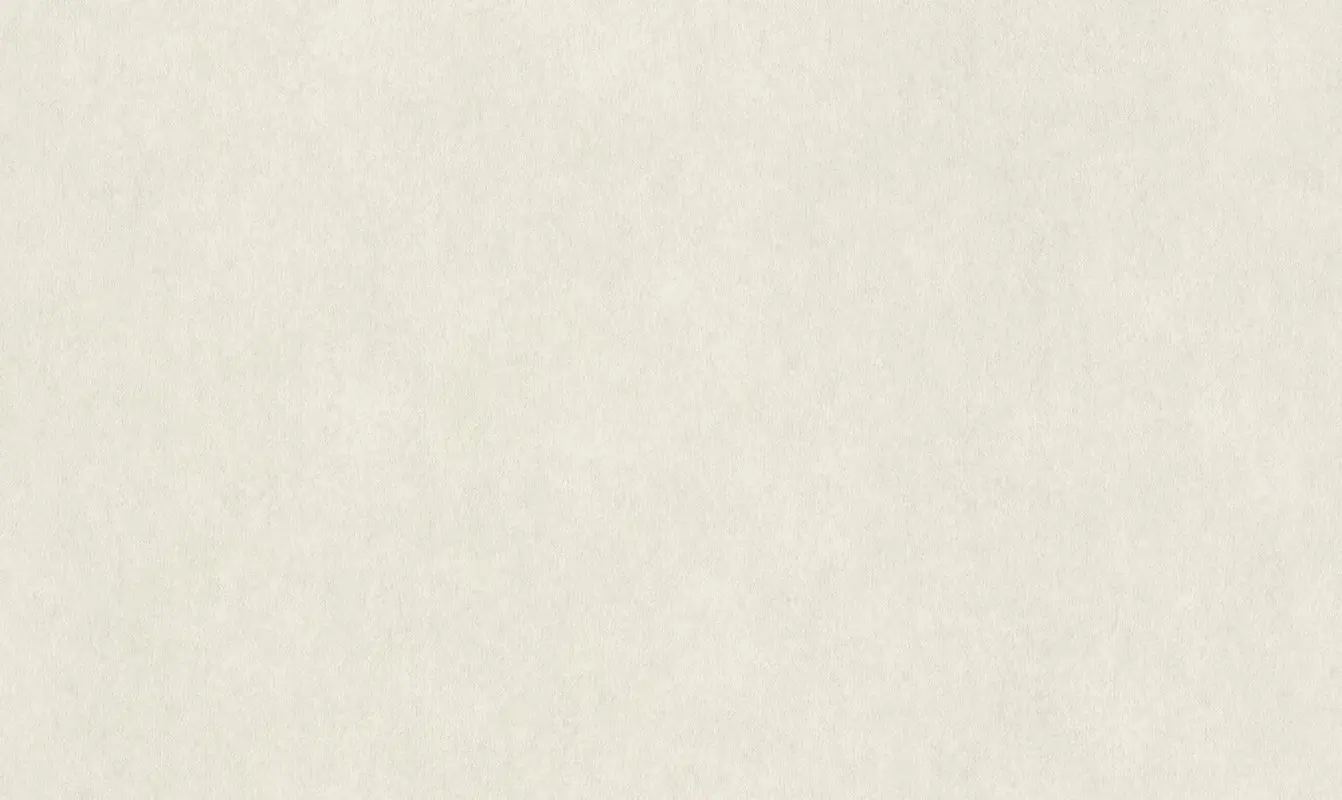 Обои 957327 Rasch Raymond / Wall Textures XL