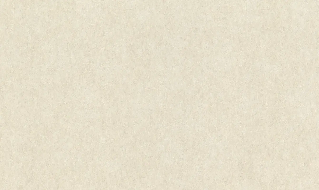 Обои 957334 Rasch Raymond / Wall Textures XL
