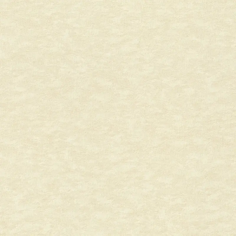 Обои 964813 Rasch Filigrano / Wall Textures XL