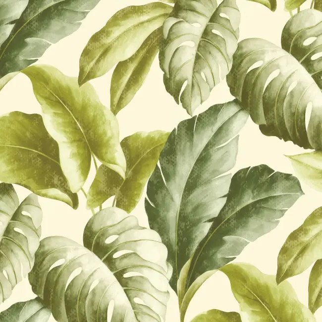 Обои BA 2401 Grandeco Ideco Botanical