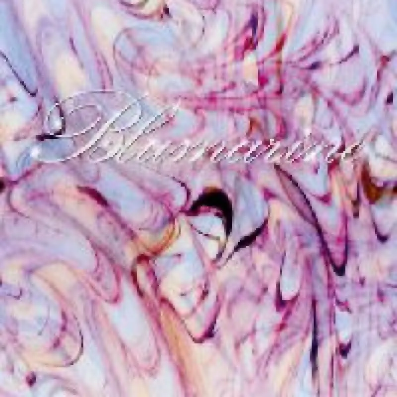 Обои BM24125 Blumarine