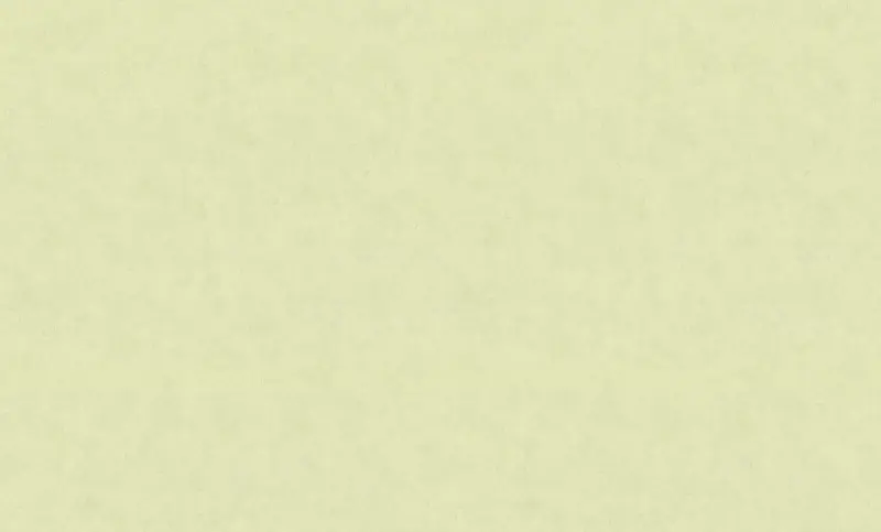 Обои HC71542-17 Palitra Home Color Колибри