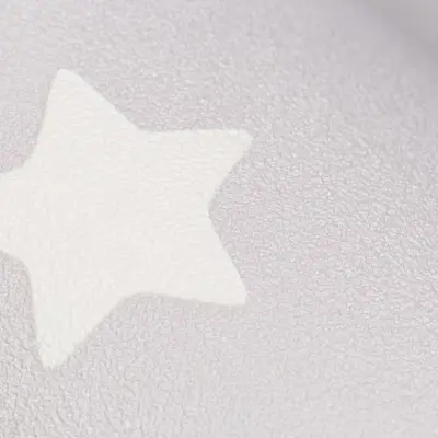 Обои HC72162-42 Palitra Home Color Мечта — фото 9