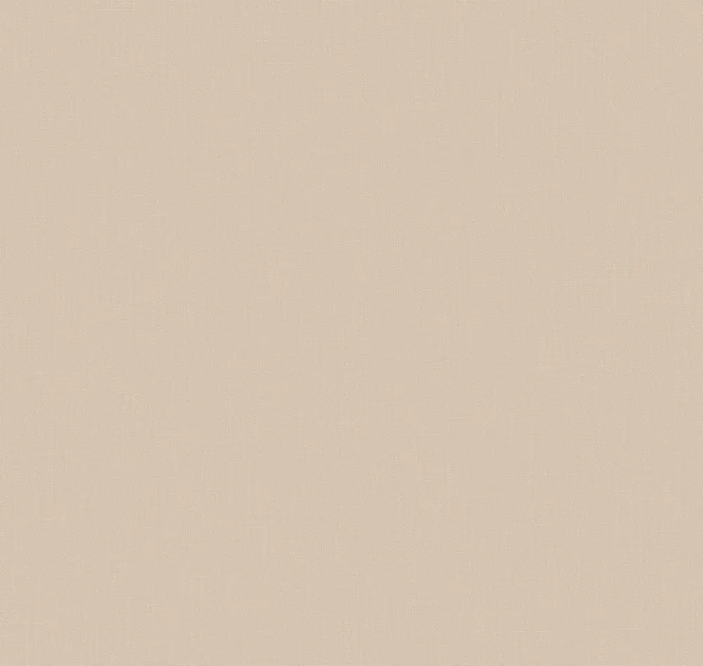Обои IMG5 002/4 Loymina Загадочный лес