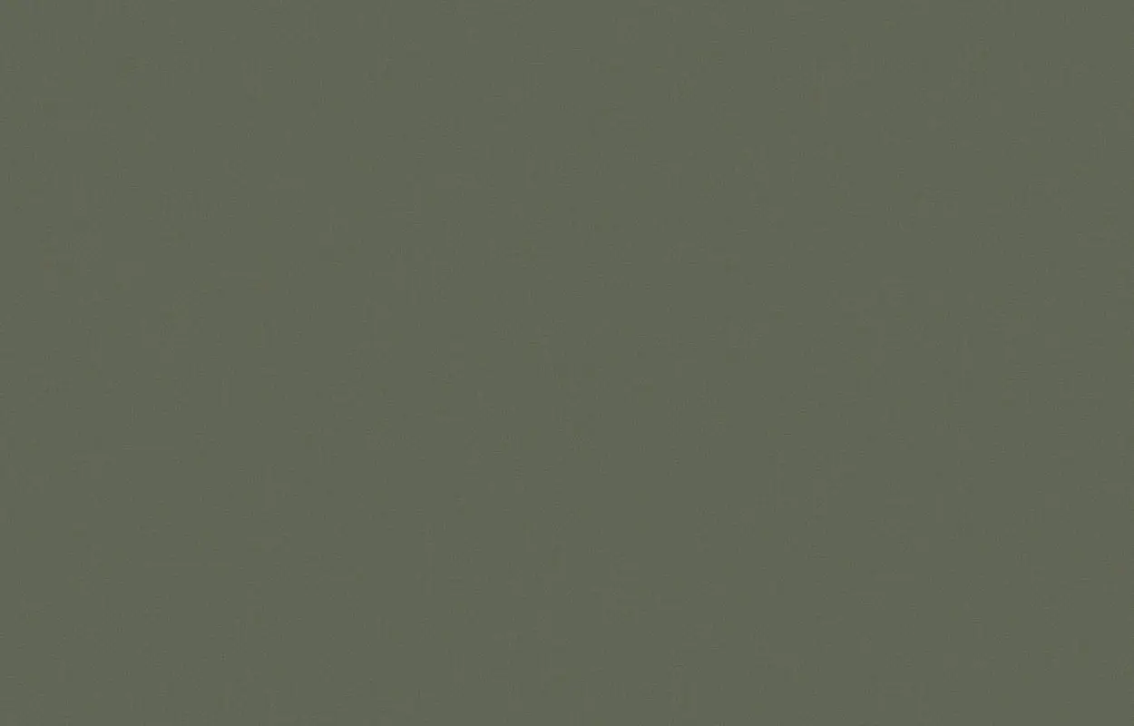 Обои KN7 005/1 Loymina Денди