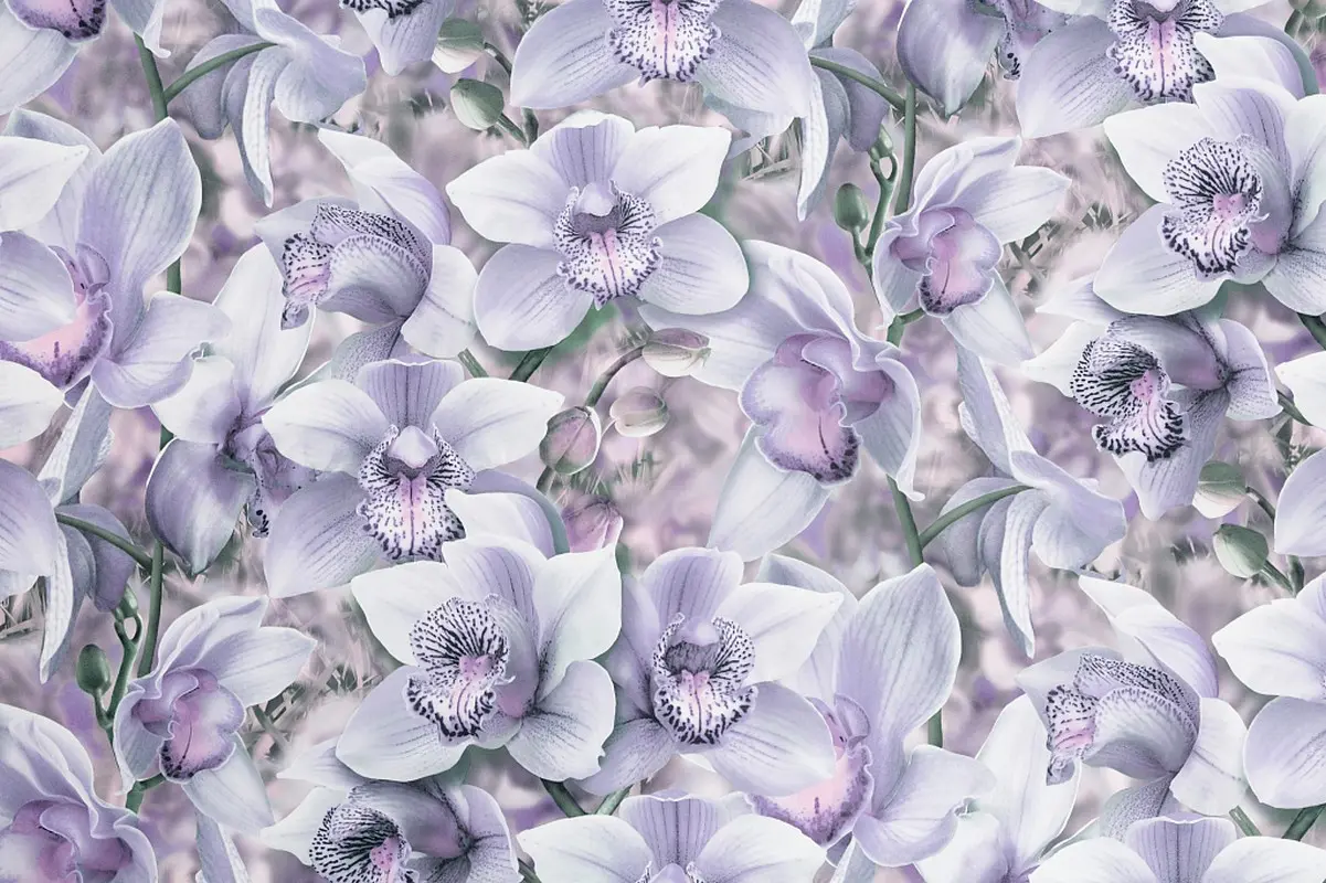 Обои SP71836-65 Палитра Orchidea