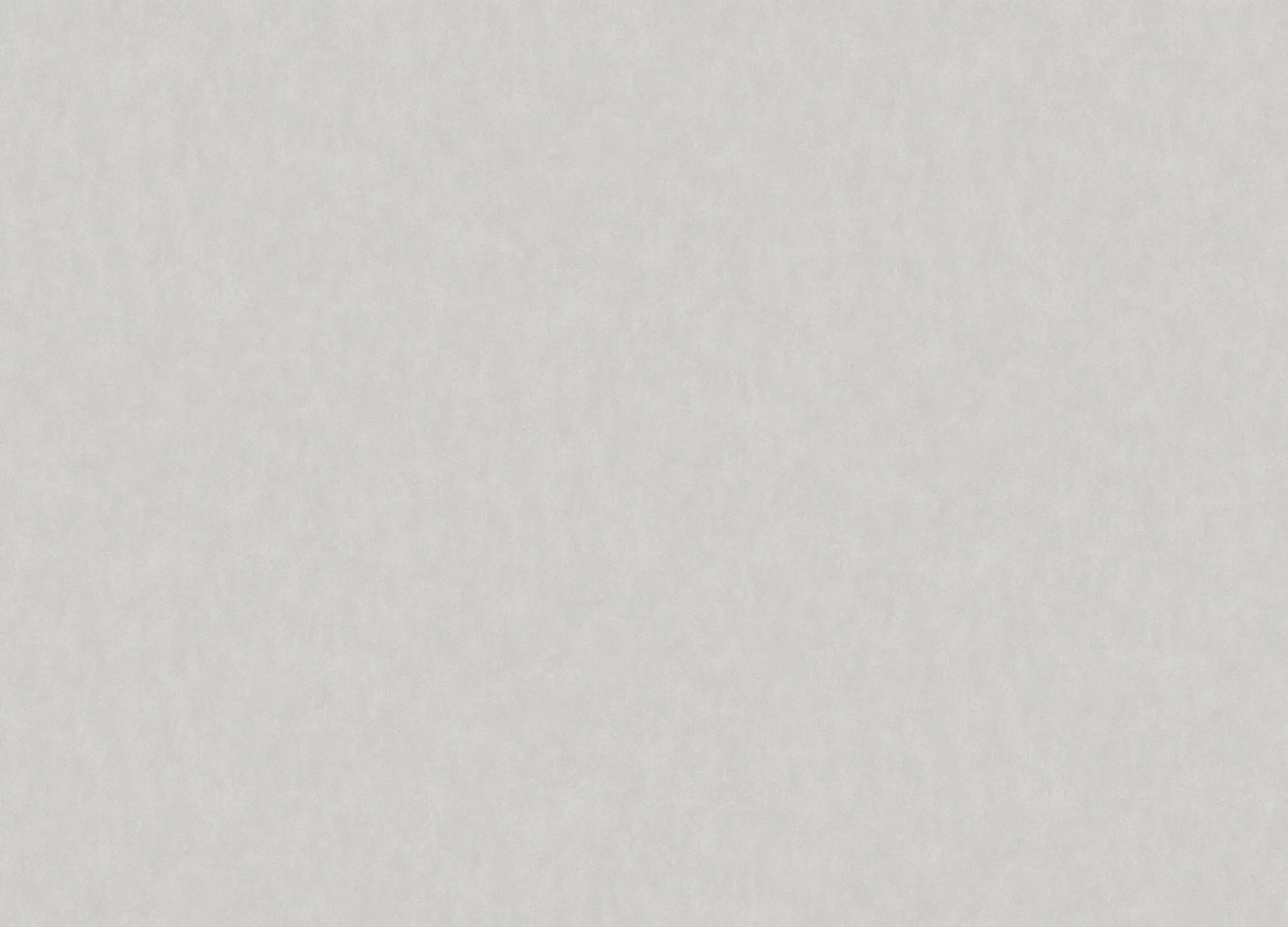 Обои W190023 Rasch Bright Whisper
