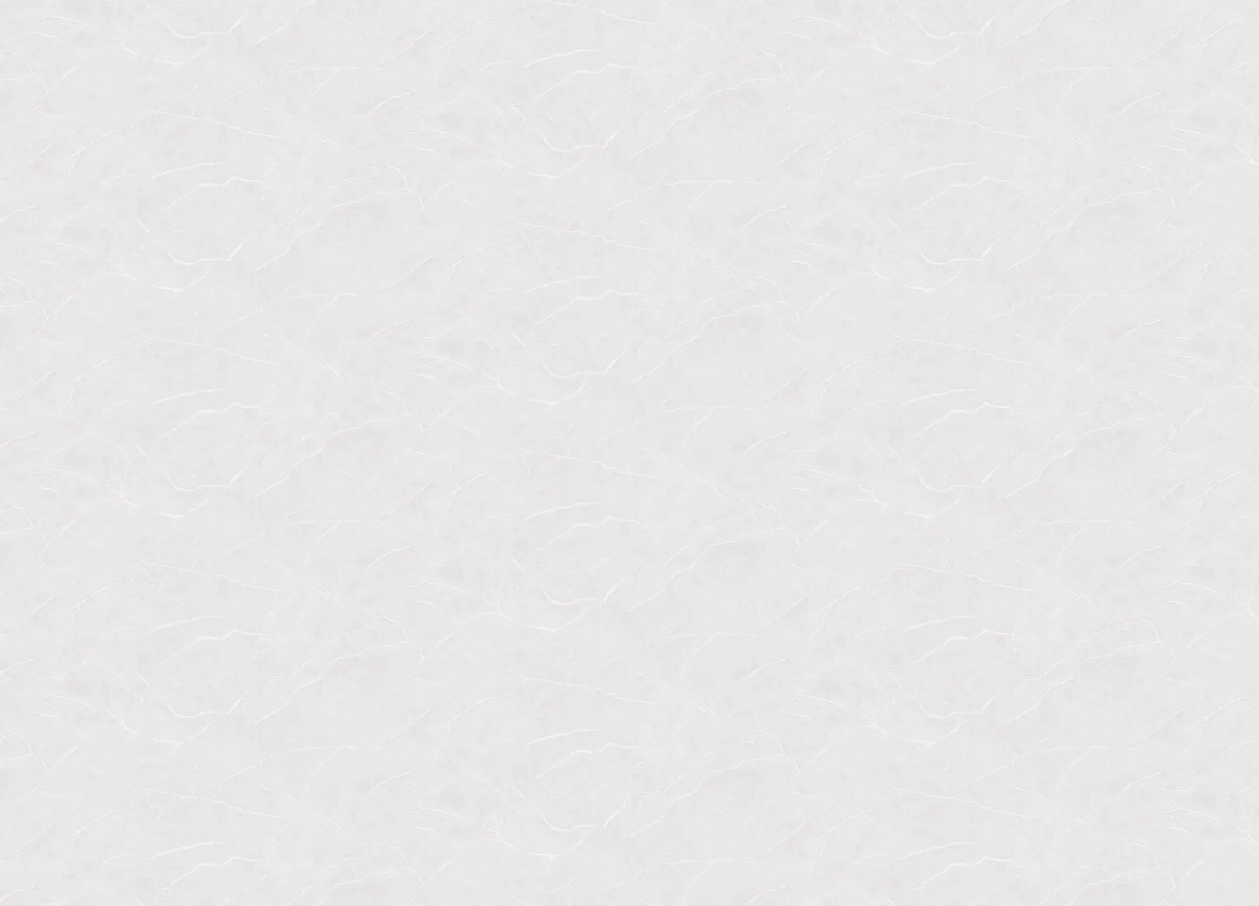 Обои W190113 Rasch Bright Whisper
