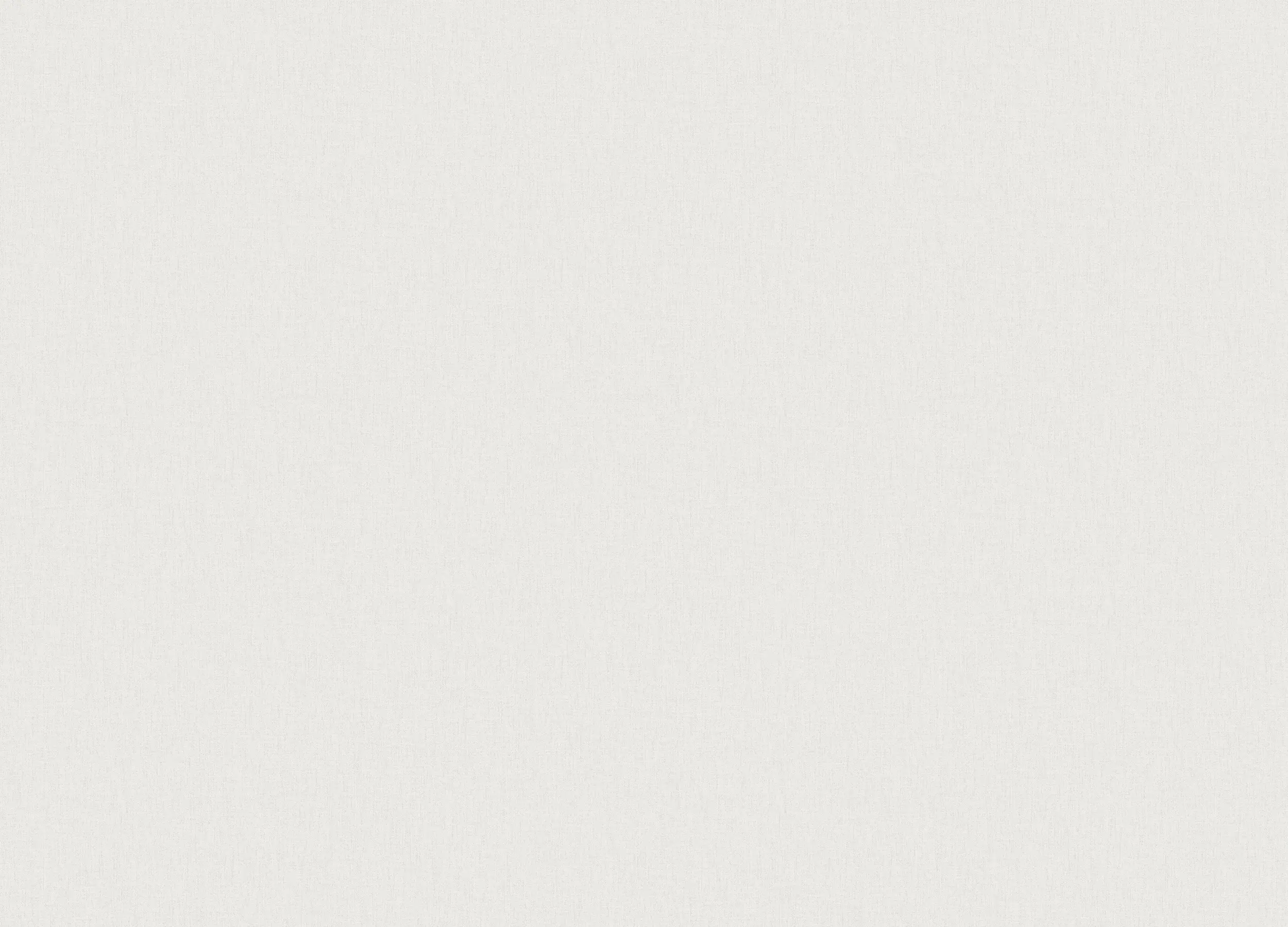 Обои W193002 Rasch Bright Whisper