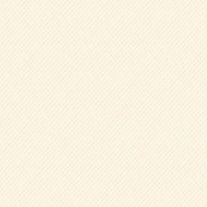 Обои WP0110303 Paper Partnership Patterdale