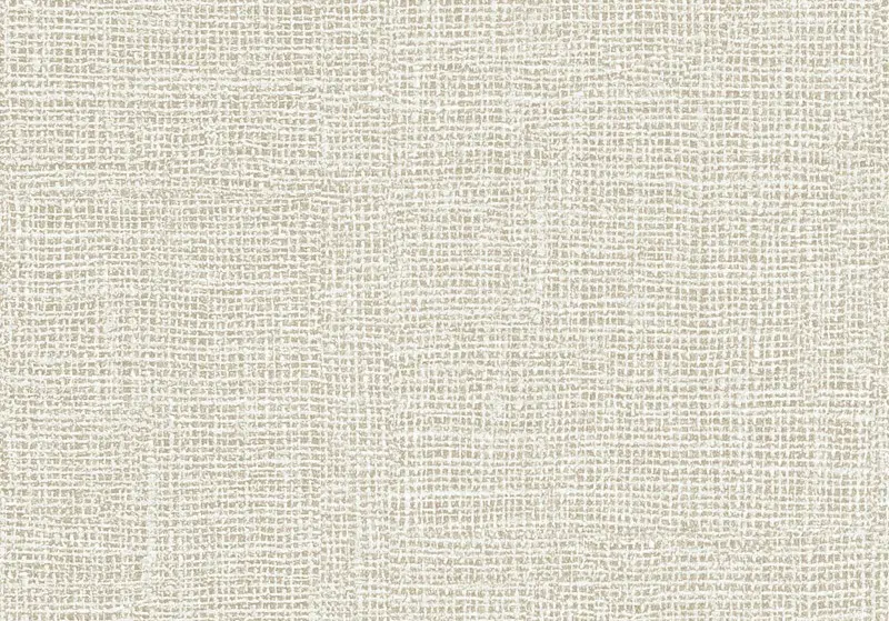 Обои Z44914 Trussardi 4