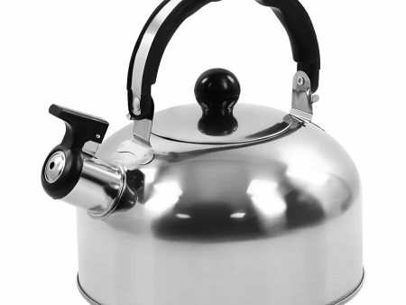 Обзор: Чайник HOME ELEMENT HE-WK1602B, нержавеющая сталь, 2 литра, со свистком