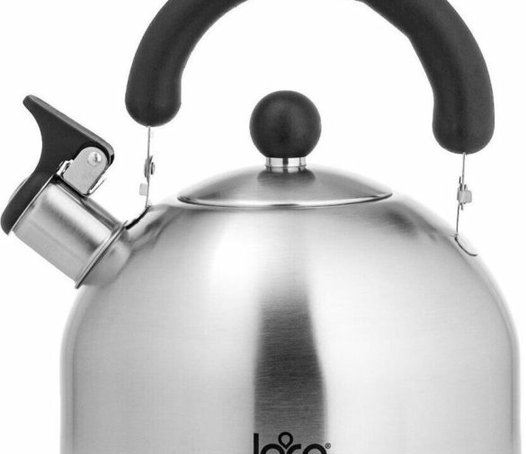 Обзор: Чайник LARA LR00-40 2.5л, серебристый