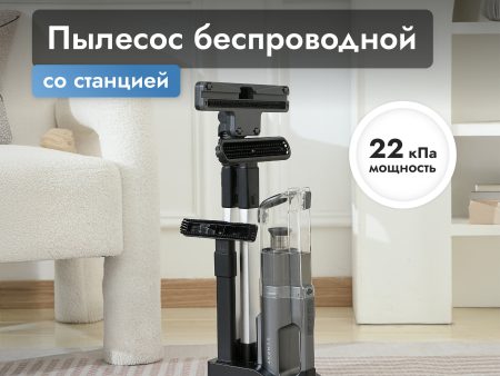 Обзор: Пылесос Dumont DMVC-3031, с зарядной станцией, BLDC-мотор, безворсовый