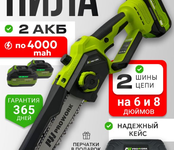Обзор: Цепная пила Prowork 6/8, 750Вт, длина шины 30см, 6 А/ч, аккумуляторная