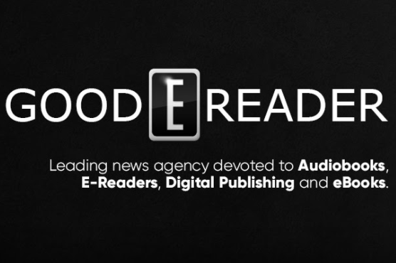 Топ-5 лучших ридеров 2021 года