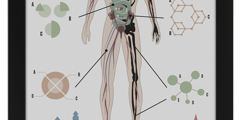 Цветной экран E Ink Kaleido™