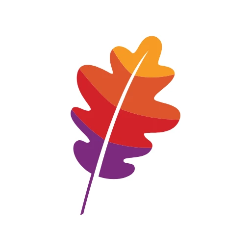 Apache Software Foundation