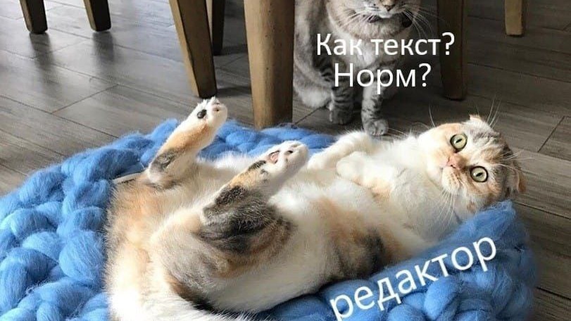 Написание крутых продающих цепляющих текстов (копирайтинг)