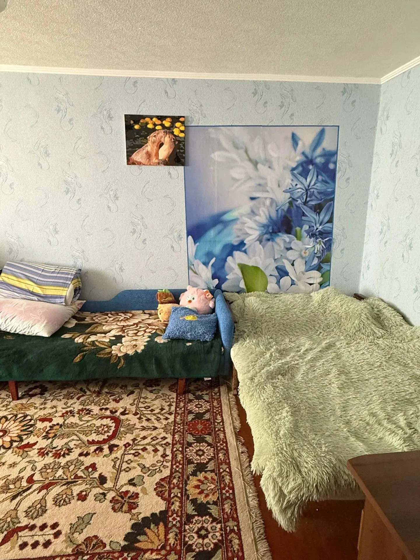 1-комнатная квартира, 31,6 м², кв. Щербакова, Артёмовский, Луганск — фото объявления Луганск
