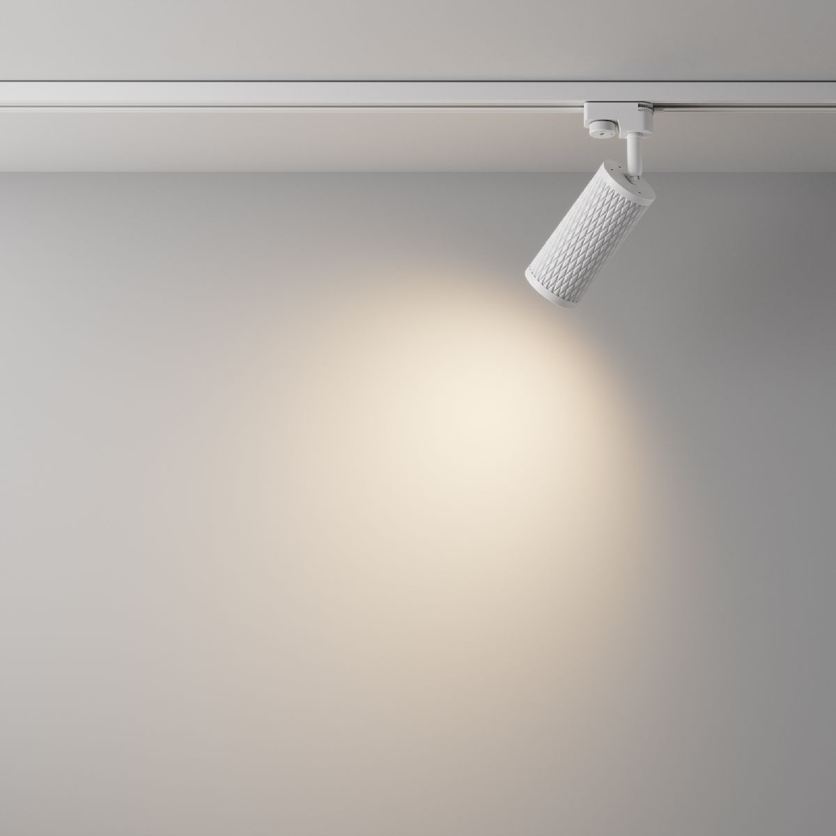 Трековый светильник Maytoni Track lamps TR011-1-GU10-W