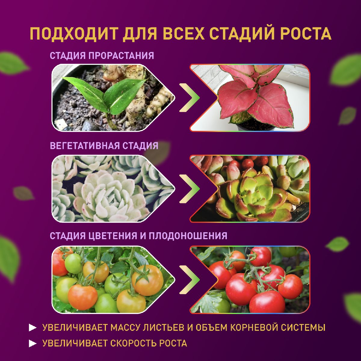 Светодиодная лента для растений Эра 18Вт 1400K 2м IP65 FITO-Strip Light-RB-2m красно-синего спектра Б0057282