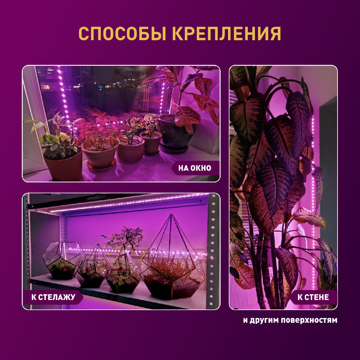 Светодиодная лента для растений Эра 18Вт 1400K 2м IP65 FITO-Strip Light-RB-2m красно-синего спектра Б0057282