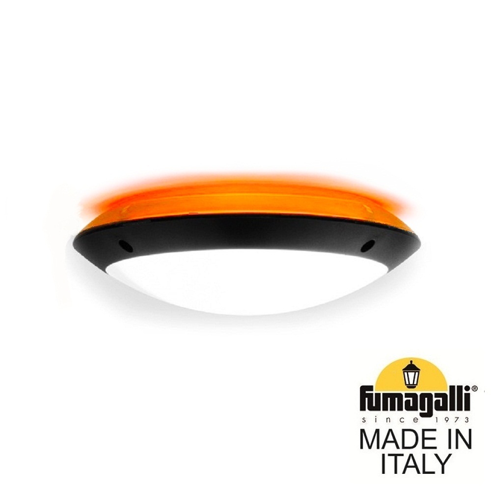 Уличный настенный светильник Fumagalli Lucia 1R3.000.000.AYE27OR1