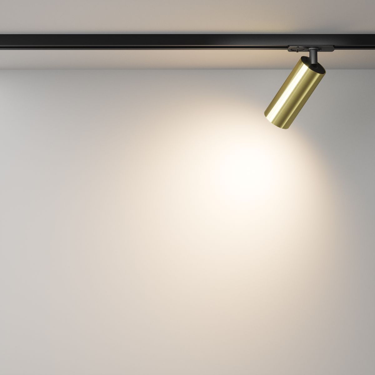 Трековый однофазный светильник Maytoni Focus Led TR021-1-12W3K-W-BBS