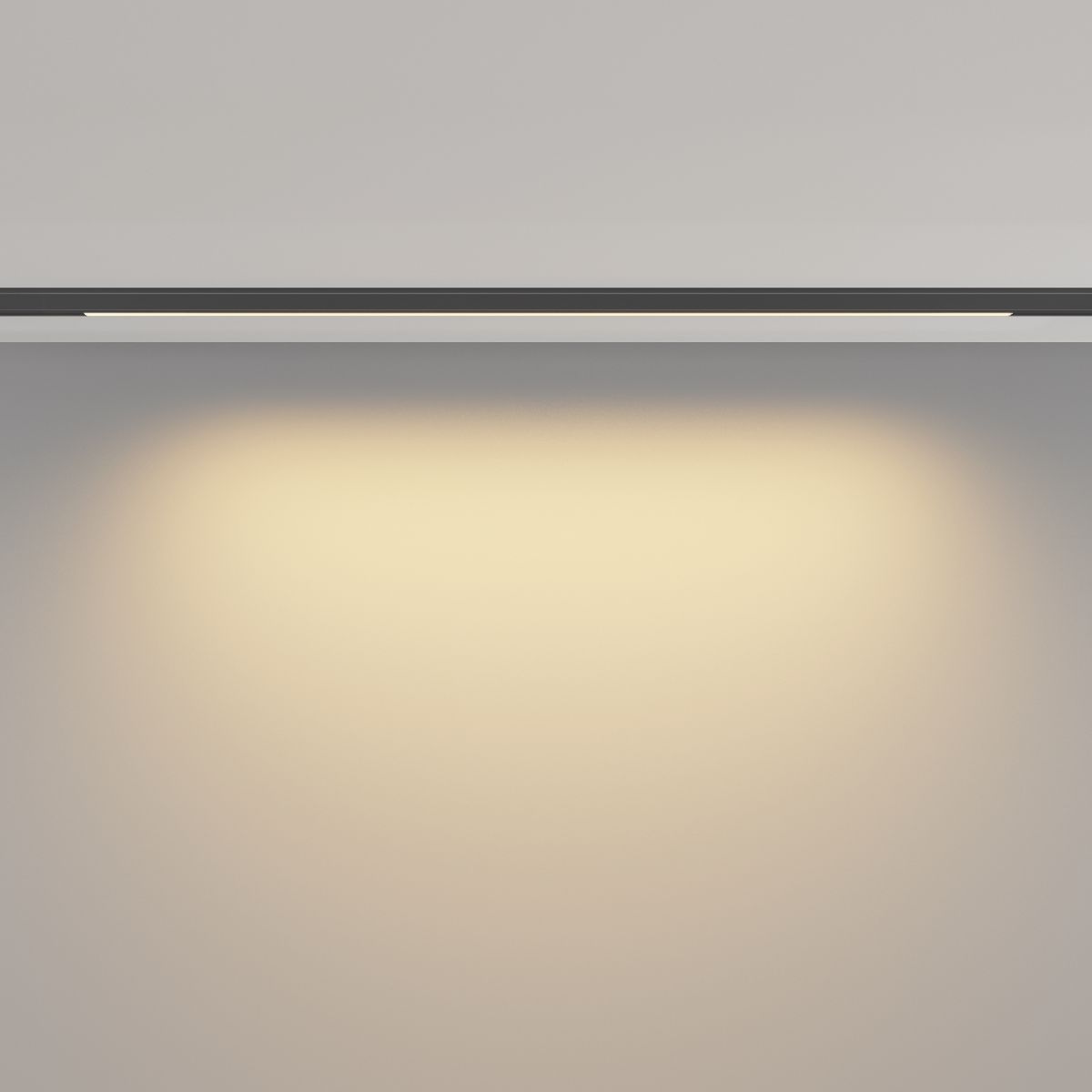 Трековый магнитный светильник Maytoni Basis TR190-1-10W2.7K-B