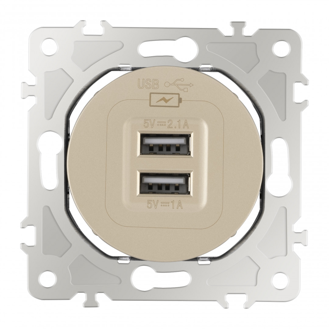 Розетка USB 2.1А+1А Arte Milano 202.46-1.shampan