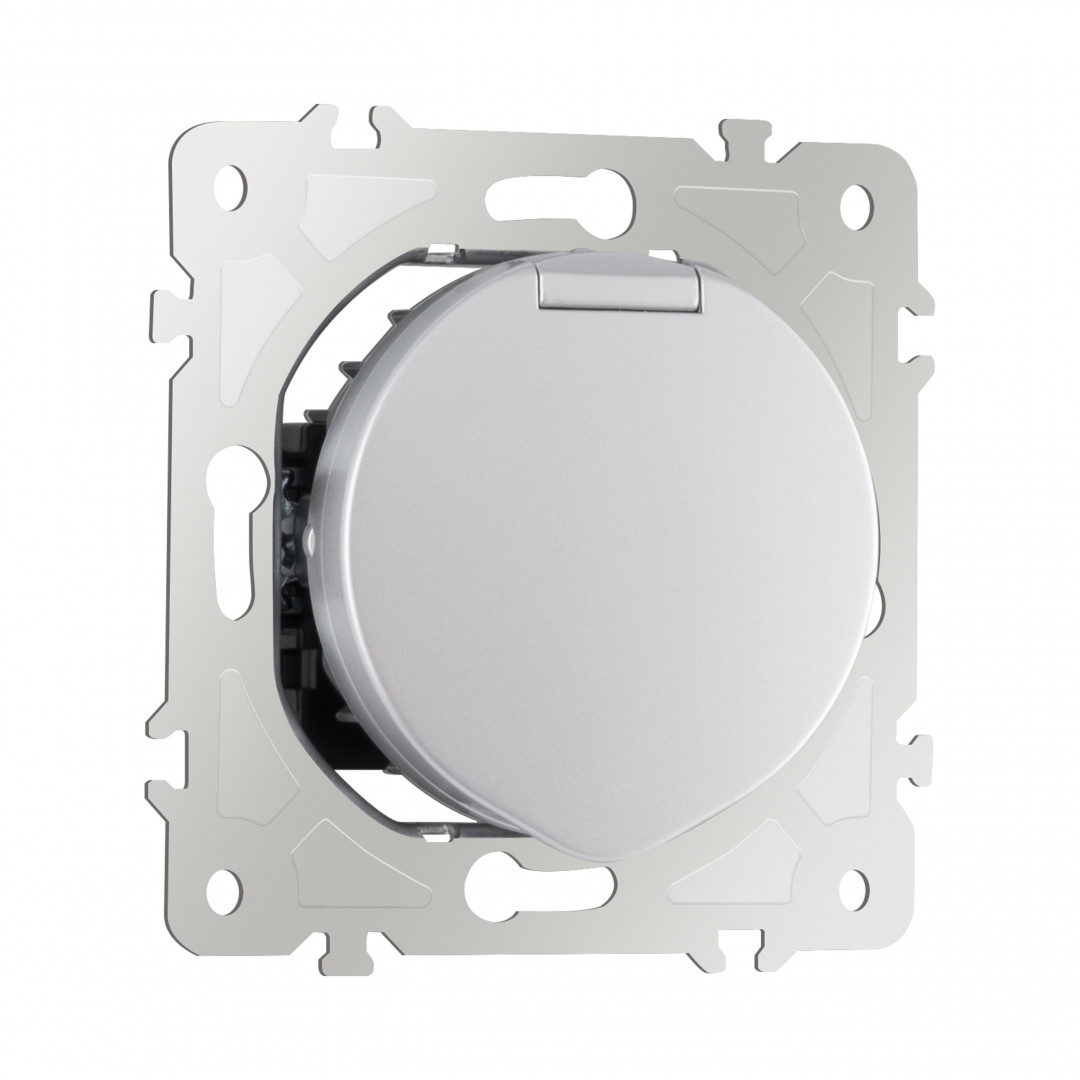 Розетка с заземлением, шторками и защитной крышкой Arte Milano 202.41-1.silver