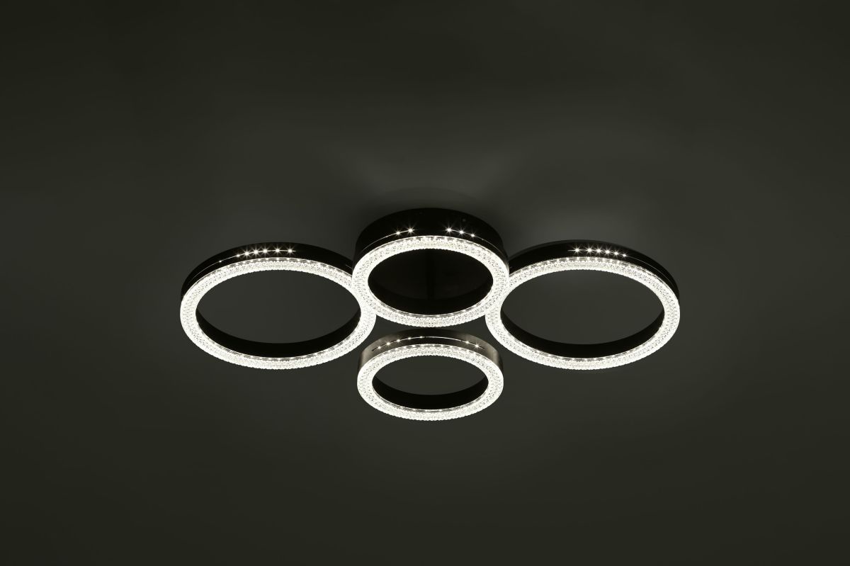 Потолочный светильник Rivoli Flora 6191-201 Б0068425