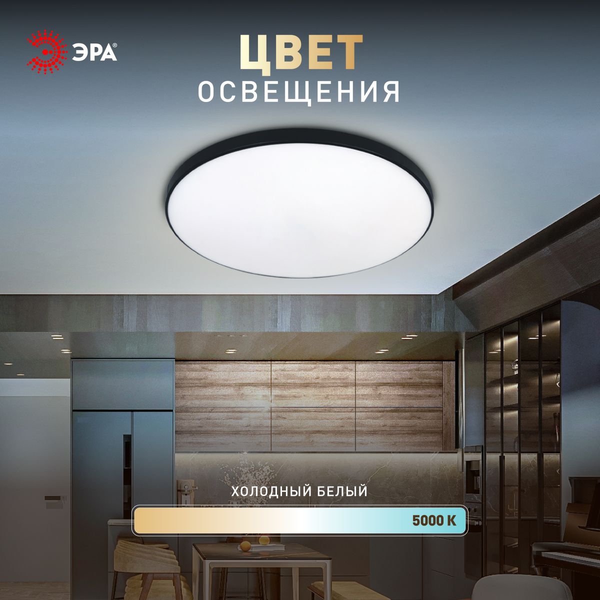 Потолочный светильник Эра Классик без ДУ SPB-6 BK 45W-5K Slim Base Б0069775