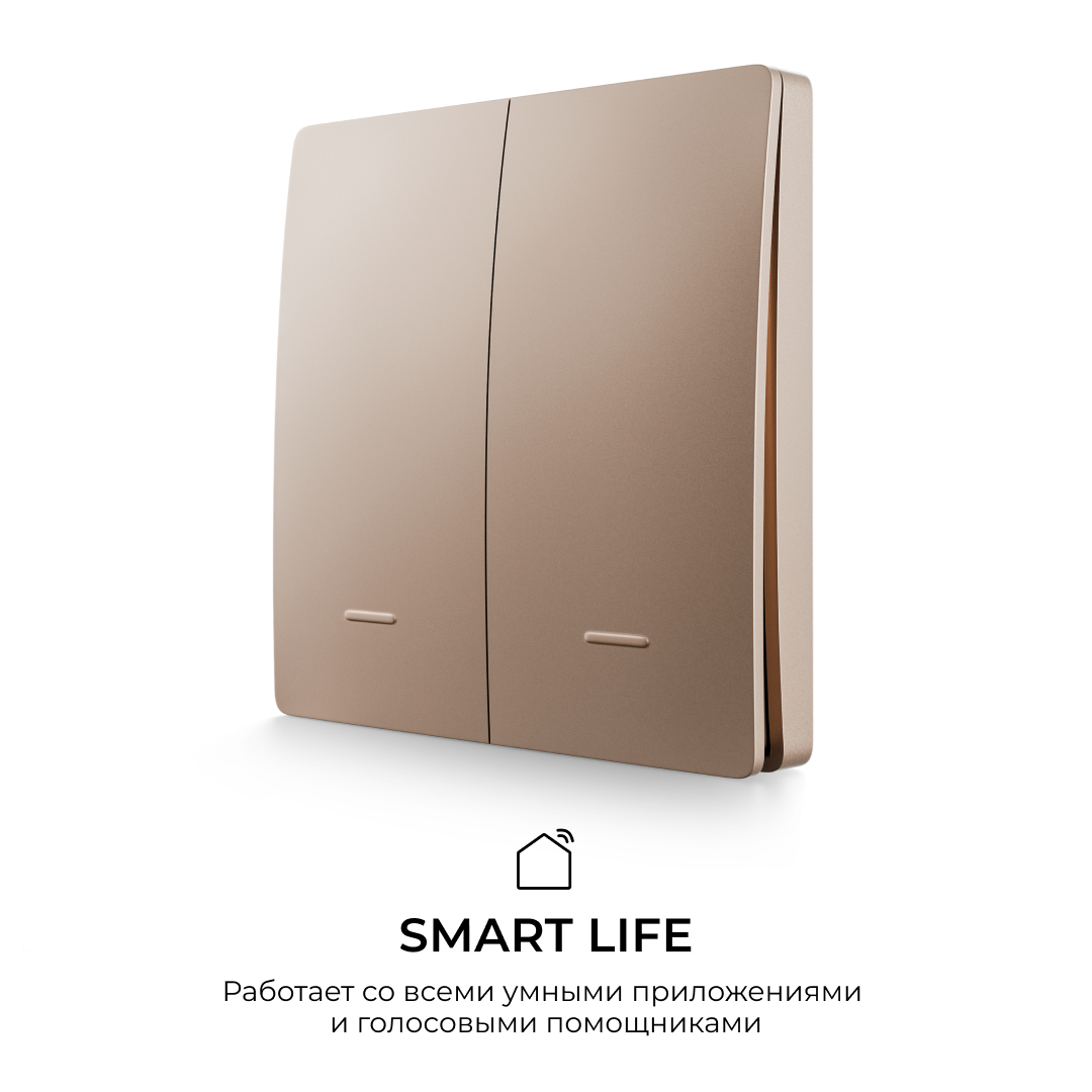 Выключатель кинетический 2кл., IP44, 2,4 ГГц, Smart, беж. Apeyron 04-76